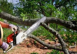 Landscape Design and Installation in Southside Place, TX